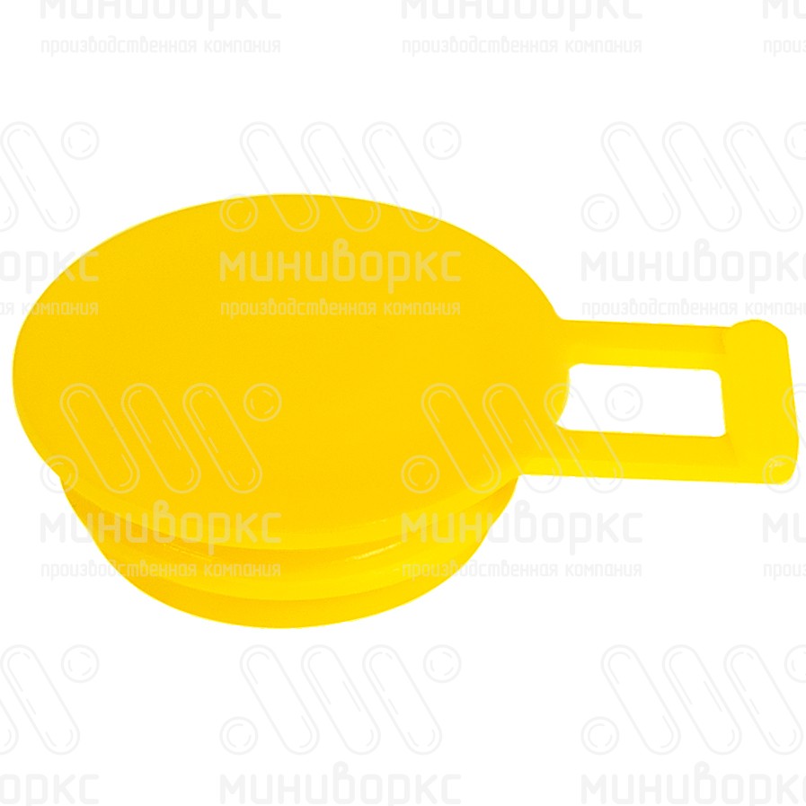 Заглушки для резьбовых отверстий m45×2 – TSFL2-45 | картинка 1