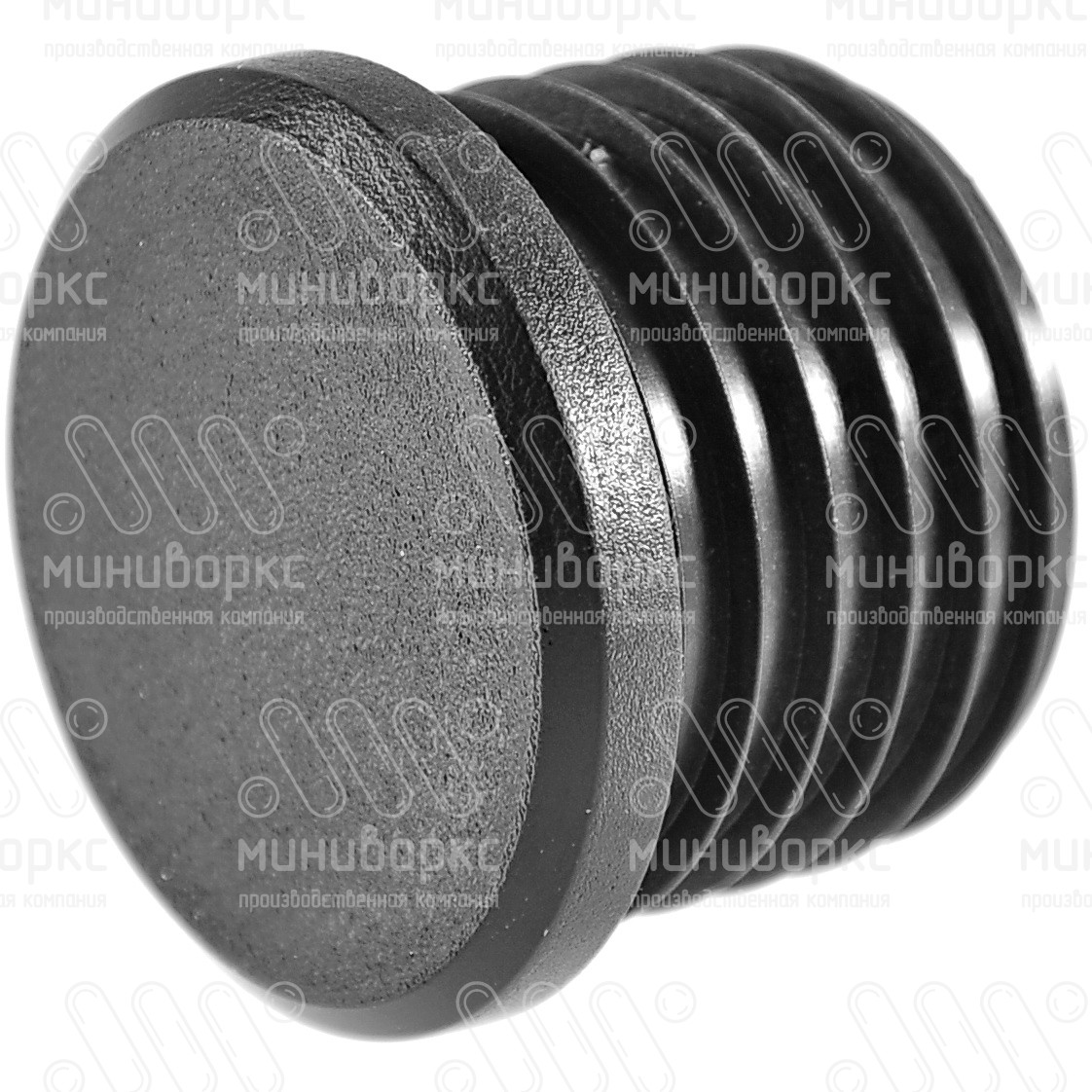 Пластиковые заглушки ДУ ду 32 (1 1/4) – GLZ1,25-01H | картинка 2