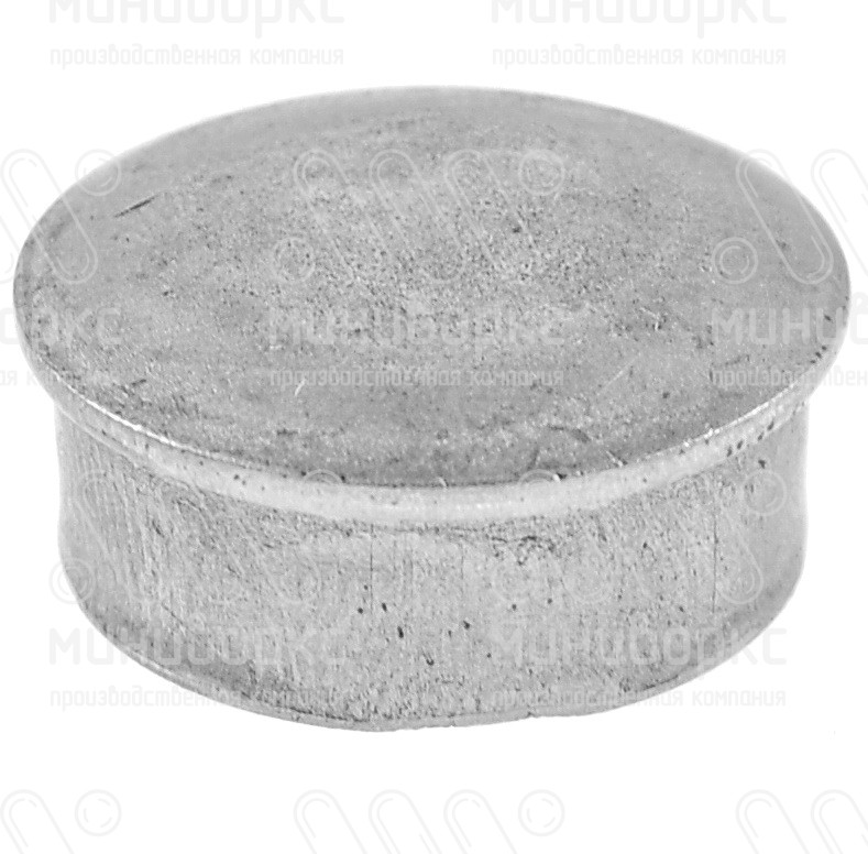 Заглушки для круглой трубы 25 – 110218767F | картинка 1